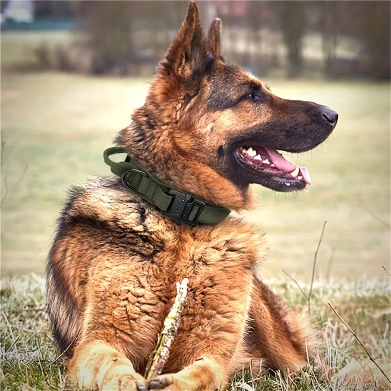 Coleira Tática Militar Para Cães Ultra Reforçada